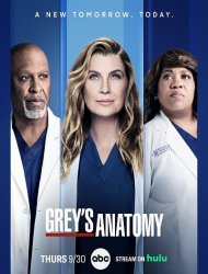 Grey's Anatomy saison 21